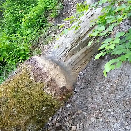 Domek letniskowy na Kaszubach, Borowy Młyn, jezioro Gwiazda Zewnętrze zdjęcie