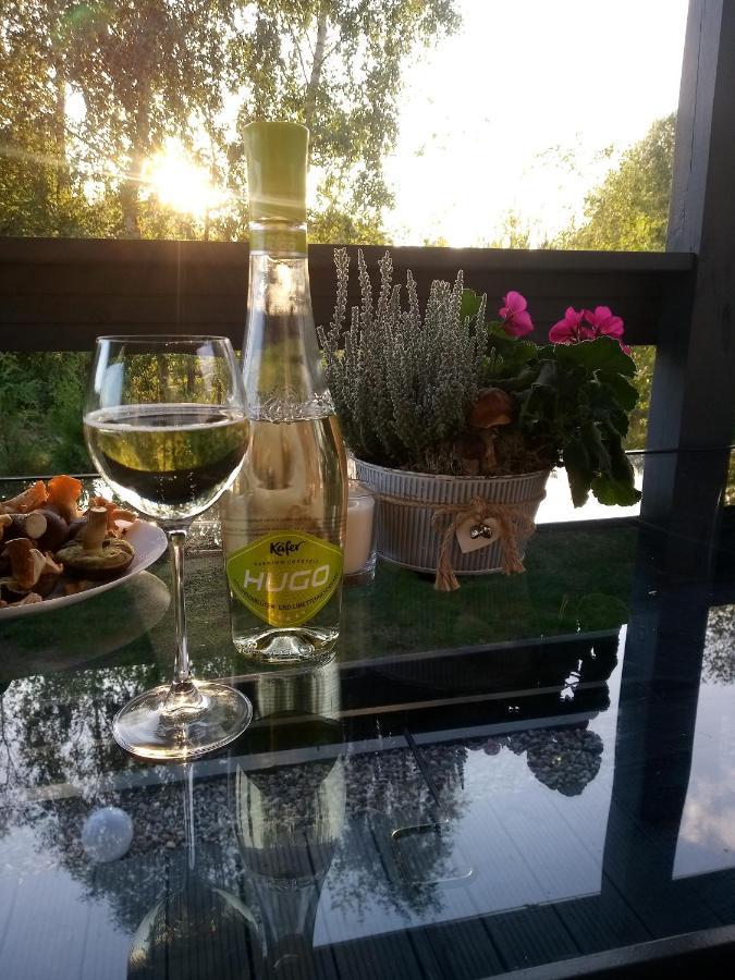 Letniskowy Na Kaszubach, Borowy Mlyn, Jezioro Gwiazda Holiday home