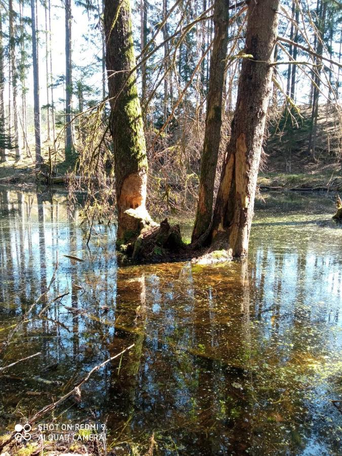 Letniskowy Na Kaszubach, Borowy Mlyn, Jezioro Gwiazda *